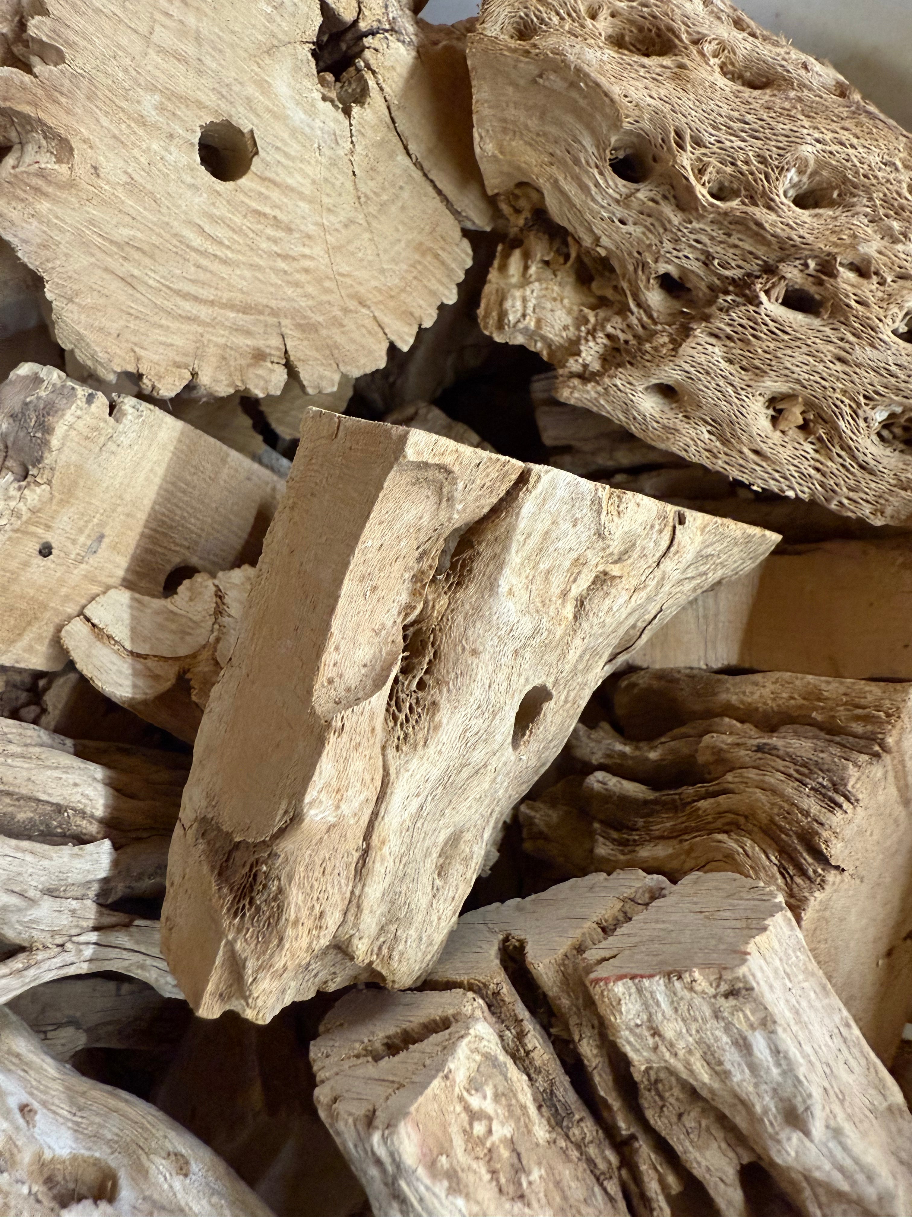 Cholla Chunks - 5 Pack