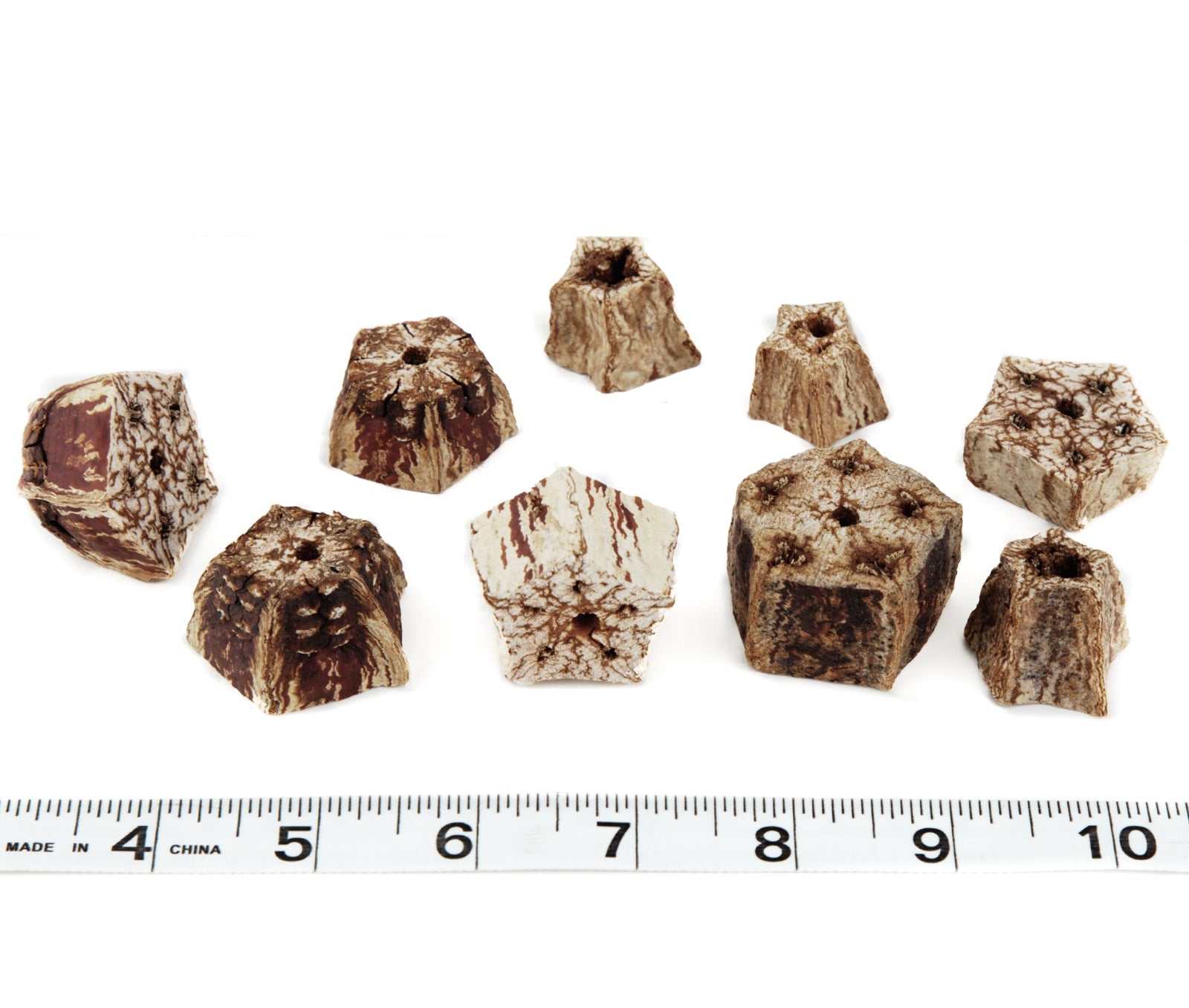 Mahogany Pod Slices w/Hole - 30 Pack