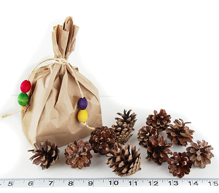 Bag o' Mini Pine Cones by Cheep Thrills Bird Toys