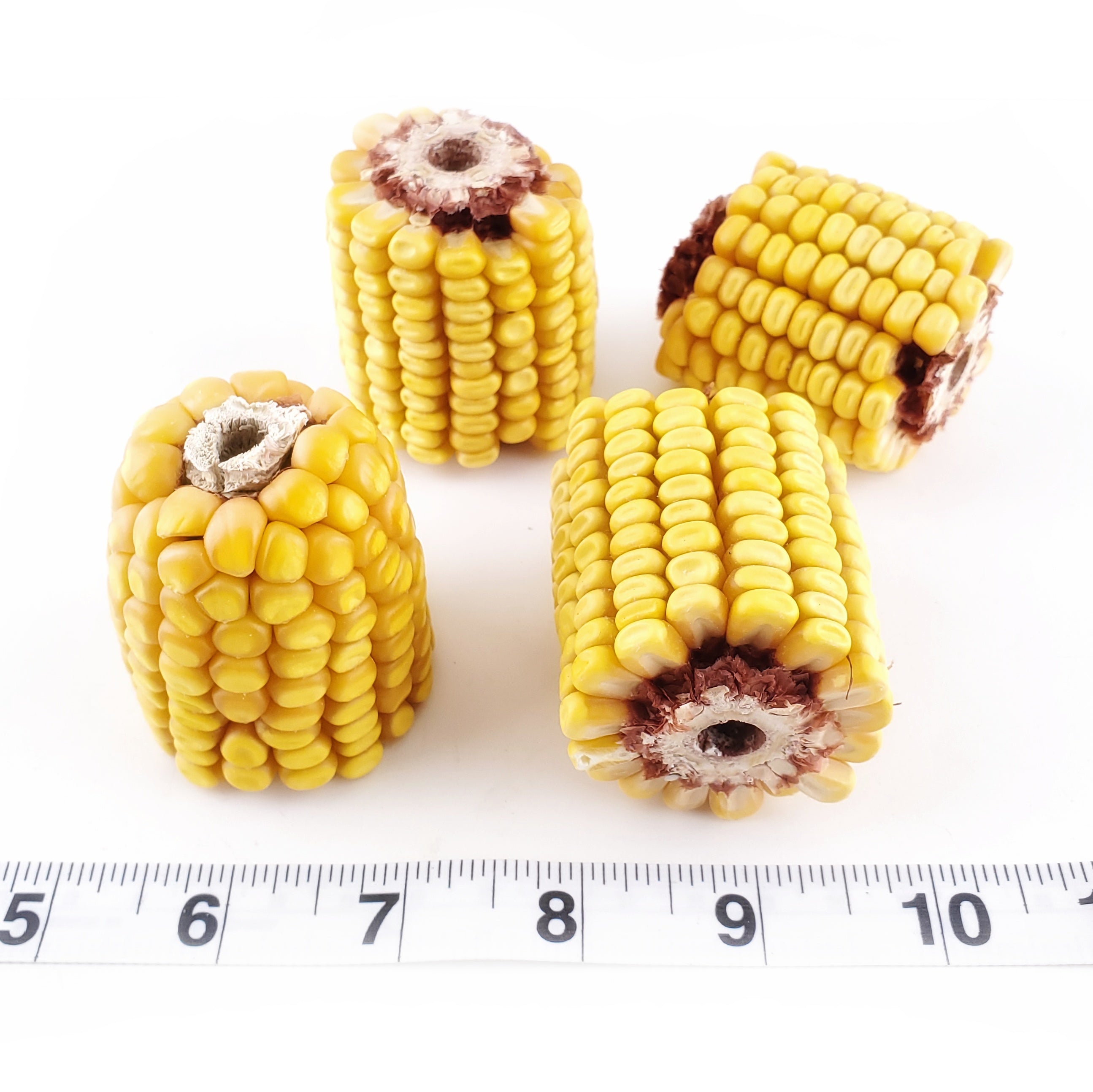 Drilled Corn Chunks - 5 Pack