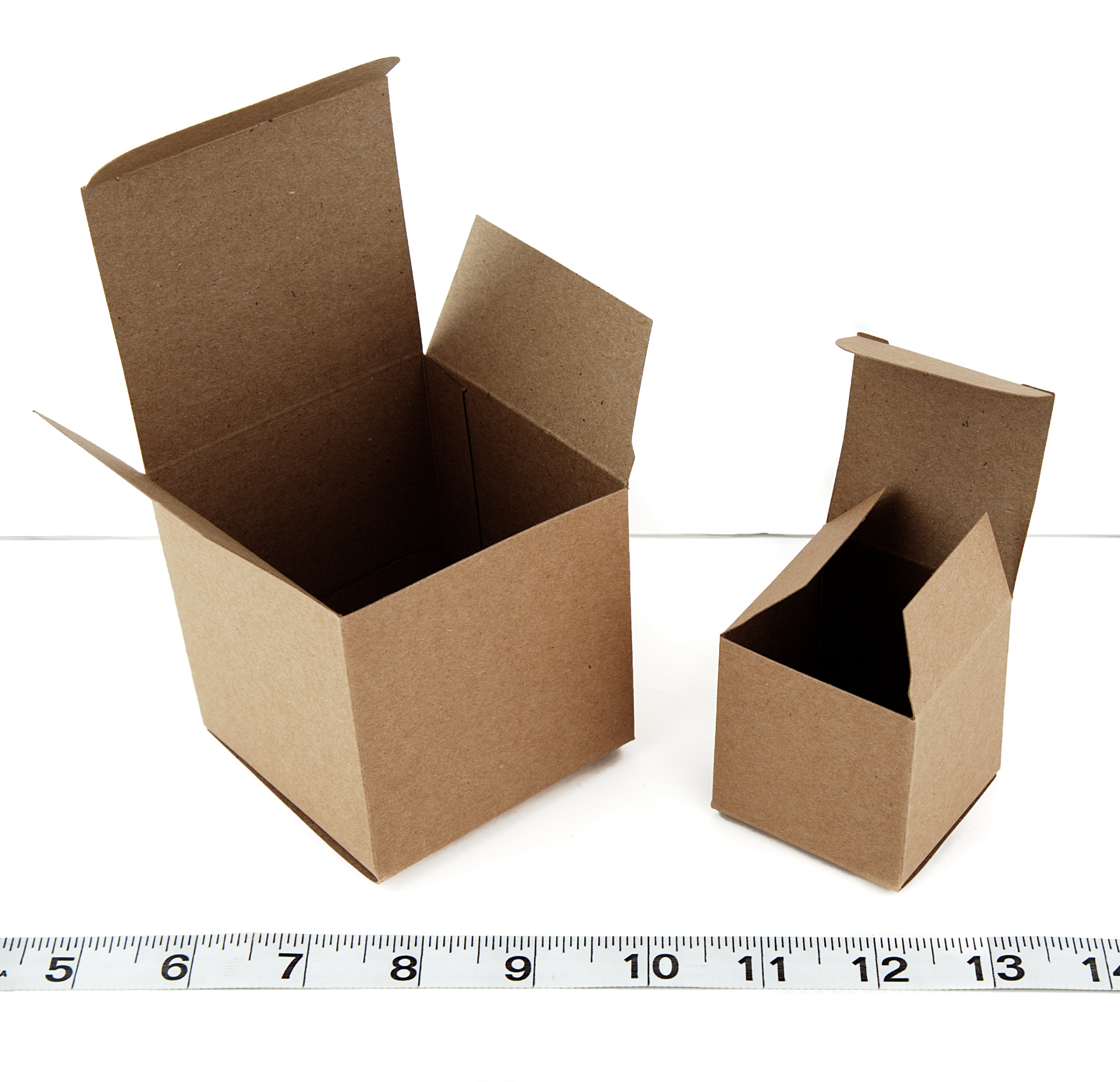 2" Cube Foraging Boxes - 5 Pack