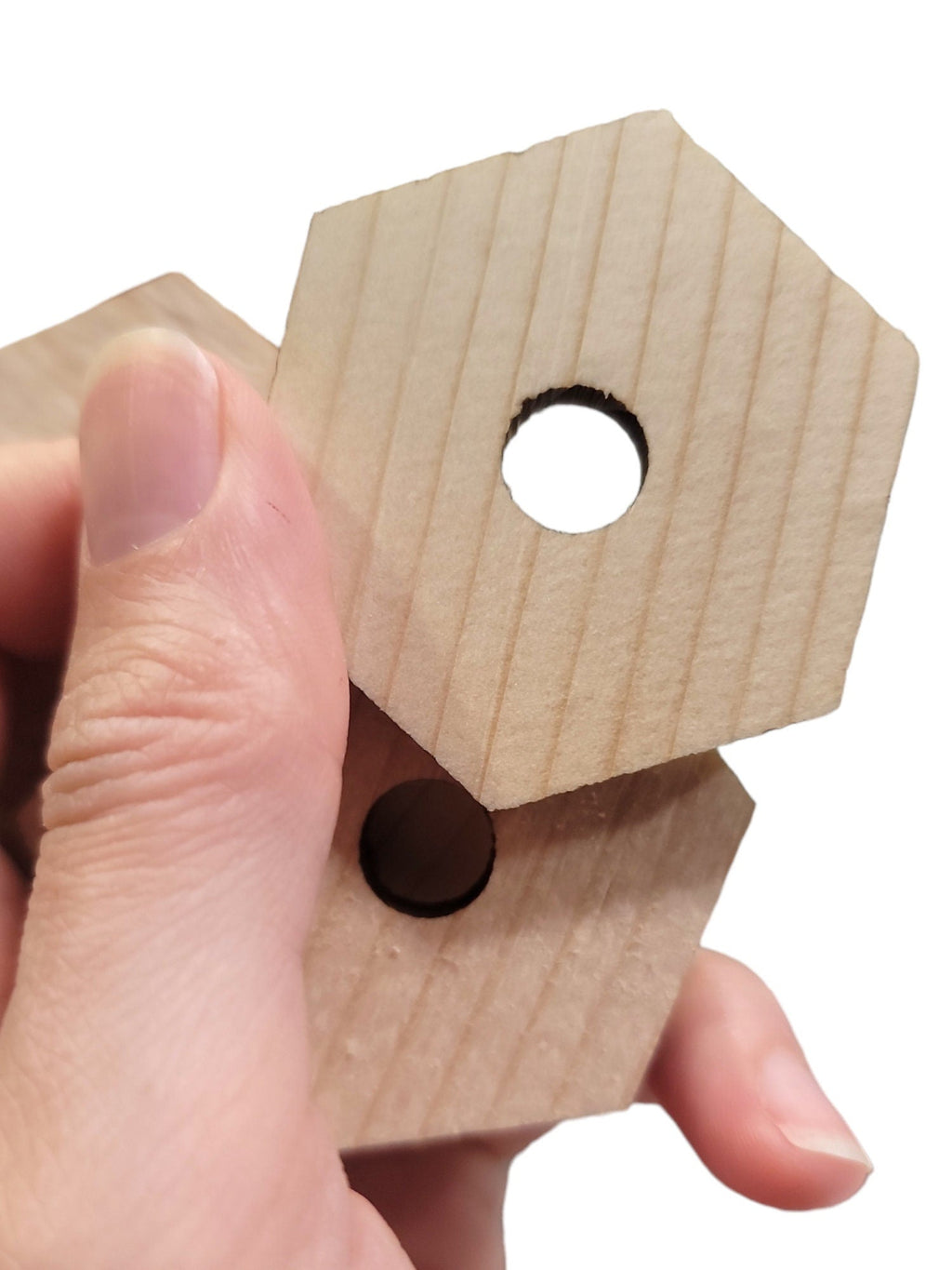 Natural Pine Hexagons - 25 Pack