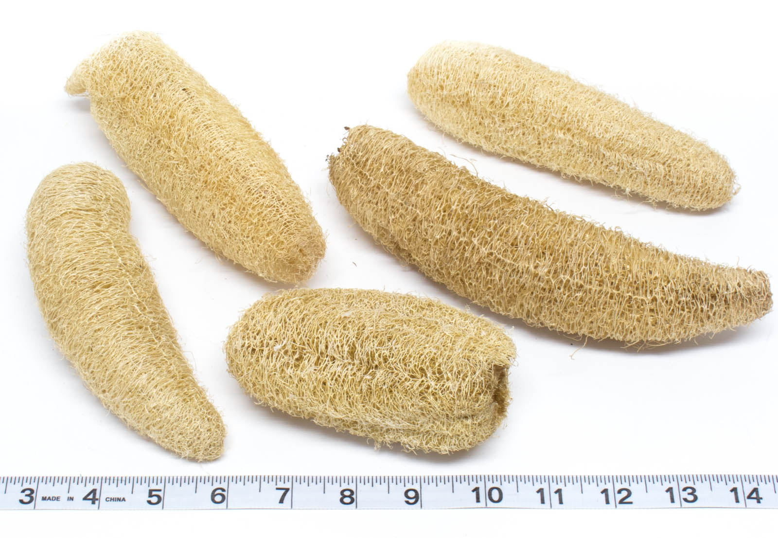 Loofah Foragers - 2 Pack