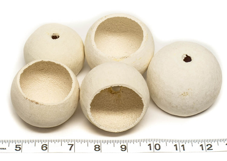 Large Foraging Pod Cups