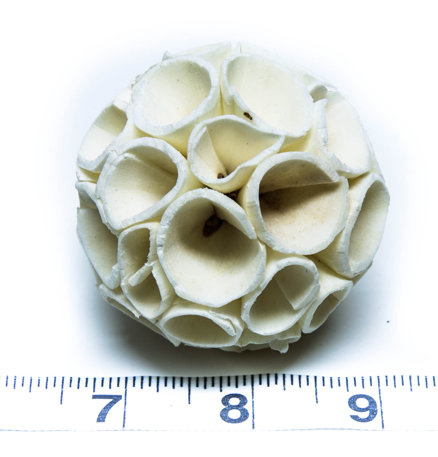 2.5" Sola Crepe Ball