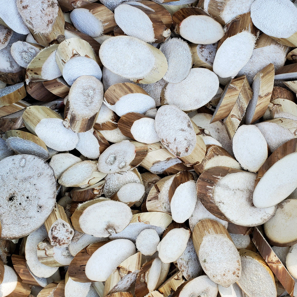 Yucca Slices - 20 Pack